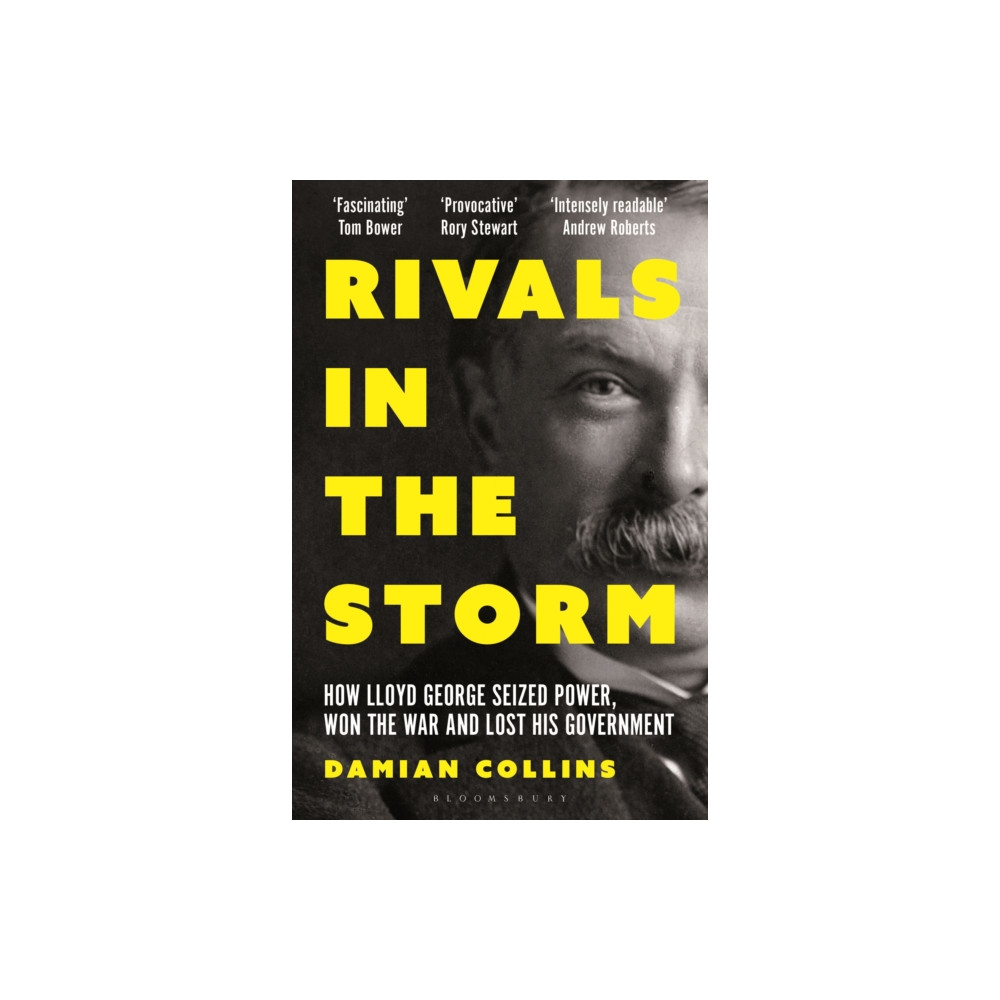 Produktbild för Rivals in the Storm (häftad, eng)