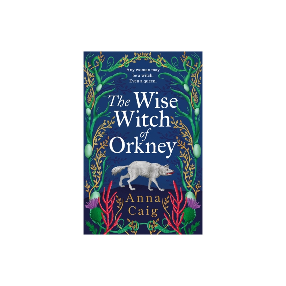 Produktbild för The Wise Witch of Orkney (inbunden, eng)