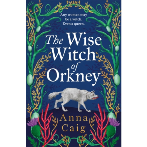 Bonnier Books Ltd The Wise Witch of Orkney (inbunden, eng)