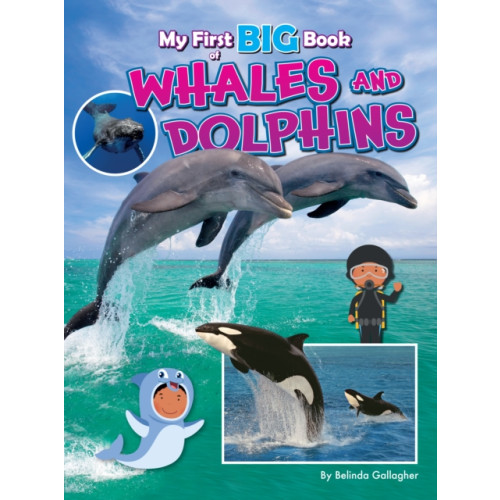 Ruby Tuesday Books Ltd My First BIG Book of WHALES and DOLPHINS (häftad, eng)