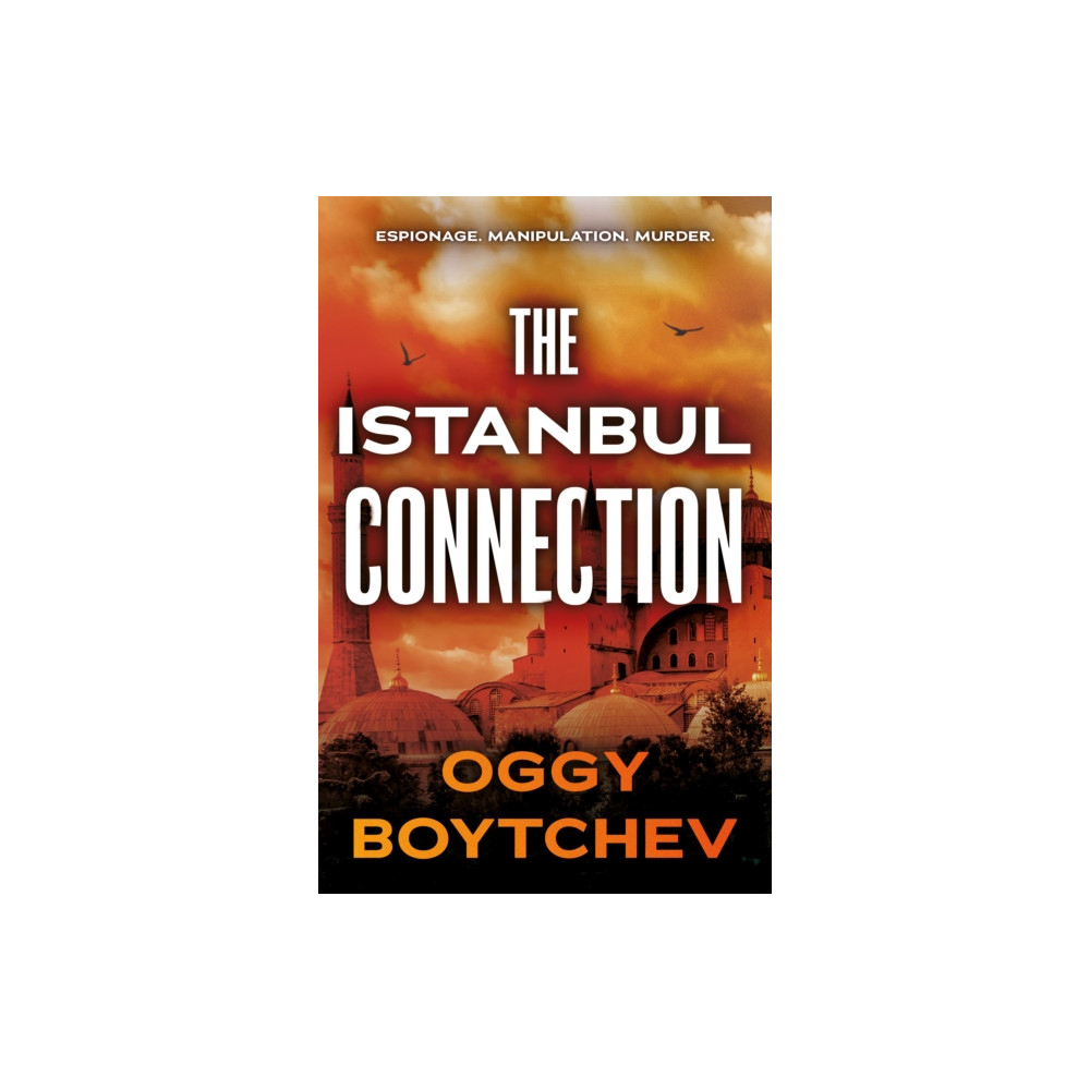Produktbild för The Istanbul Connection (häftad, eng)