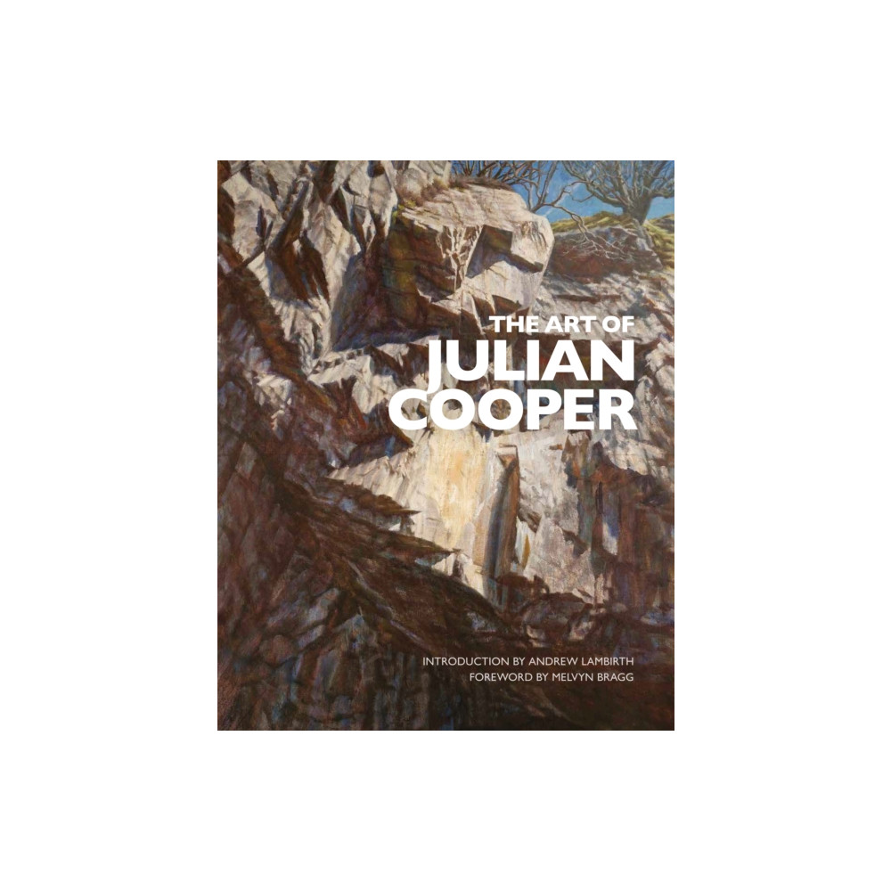 Produktbild för The Art of Julian Cooper (inbunden, eng)