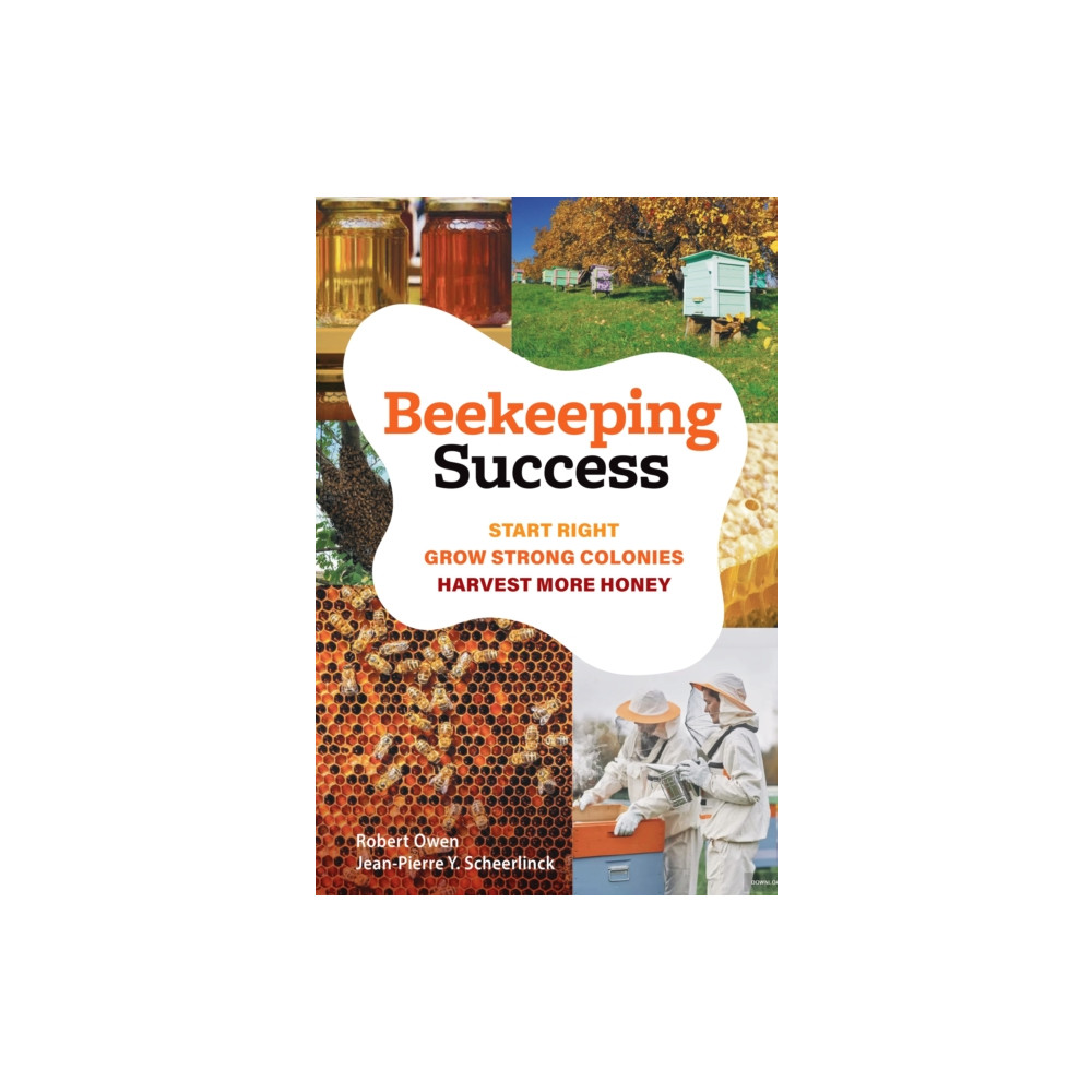 Produktbild för Beekeeping Success (häftad, eng)