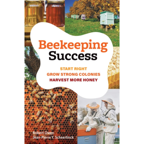 Exisle Publishing Beekeeping Success (häftad, eng)