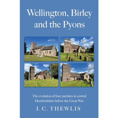 Troubador Publishing Wellington, Birley and the Pyons (häftad, eng)