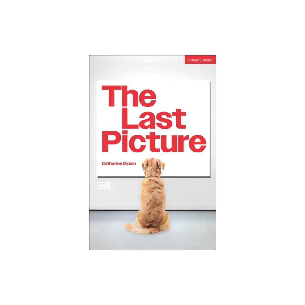 Produktbild för The Last Picture (häftad, eng)