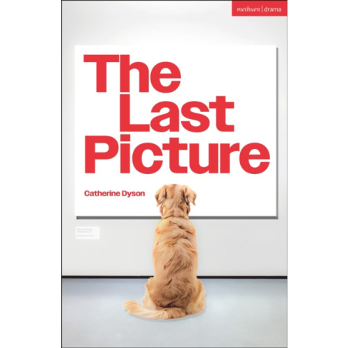 Bloomsbury Publishing PLC The Last Picture (häftad, eng)