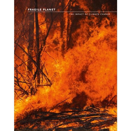 HarperCollins Publishers Fragile Planet (häftad, eng)