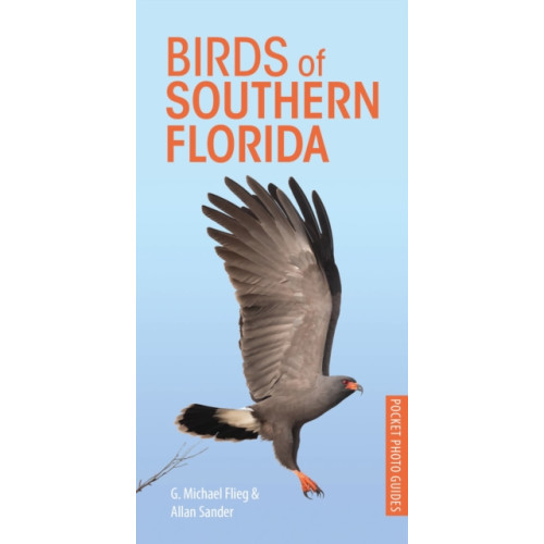 Bloomsbury Publishing PLC Birds of Southern Florida (häftad, eng)