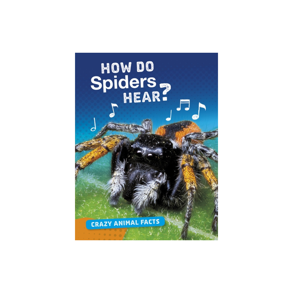Produktbild för How Do Spiders Hear? (inbunden, eng)