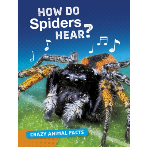 Capstone Global Library Ltd How Do Spiders Hear? (inbunden, eng)