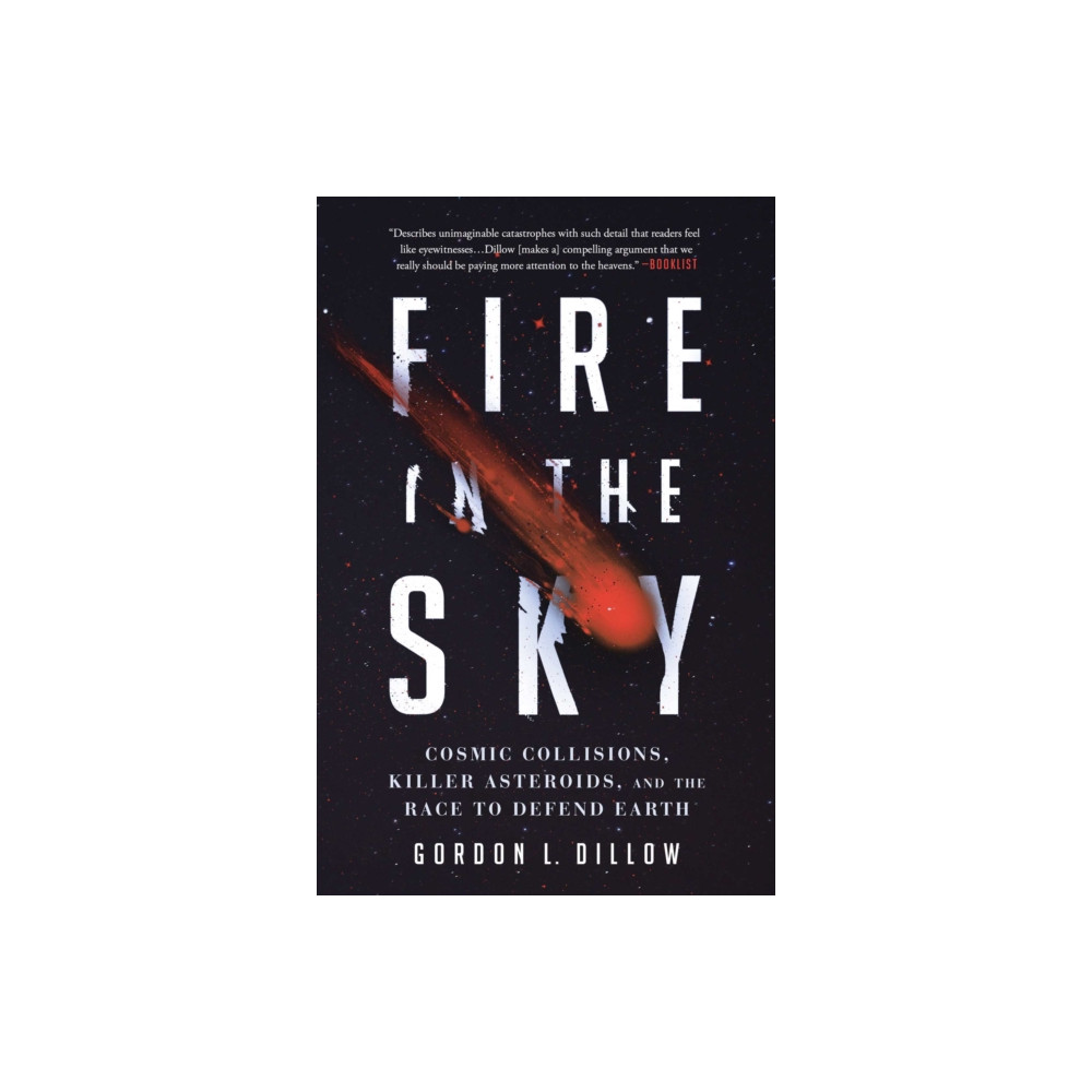 Produktbild för Fire in the Sky (häftad, eng)