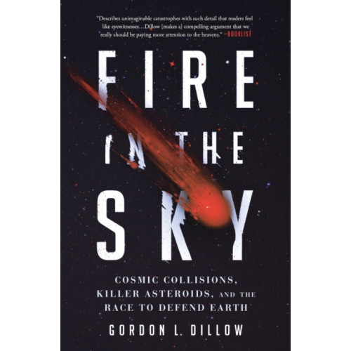 Simon & Schuster Fire in the Sky (häftad, eng)