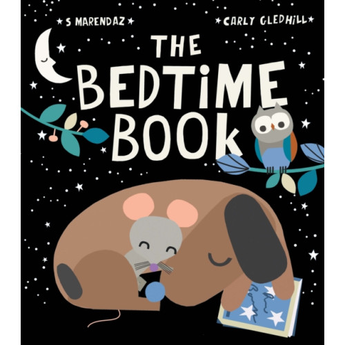 Little Tiger Press Group The Bedtime Book (inbunden, eng)