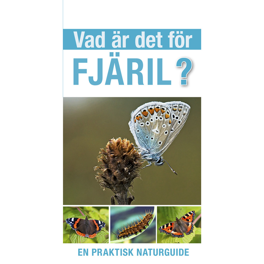 Produktbild för Vad är det för fjäril? (häftad)