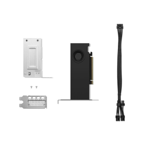 Lenovo NVIDIA RTX - grafikkort - NVIDIA RTX 2000 Ada - 16 GB - Bildkablar