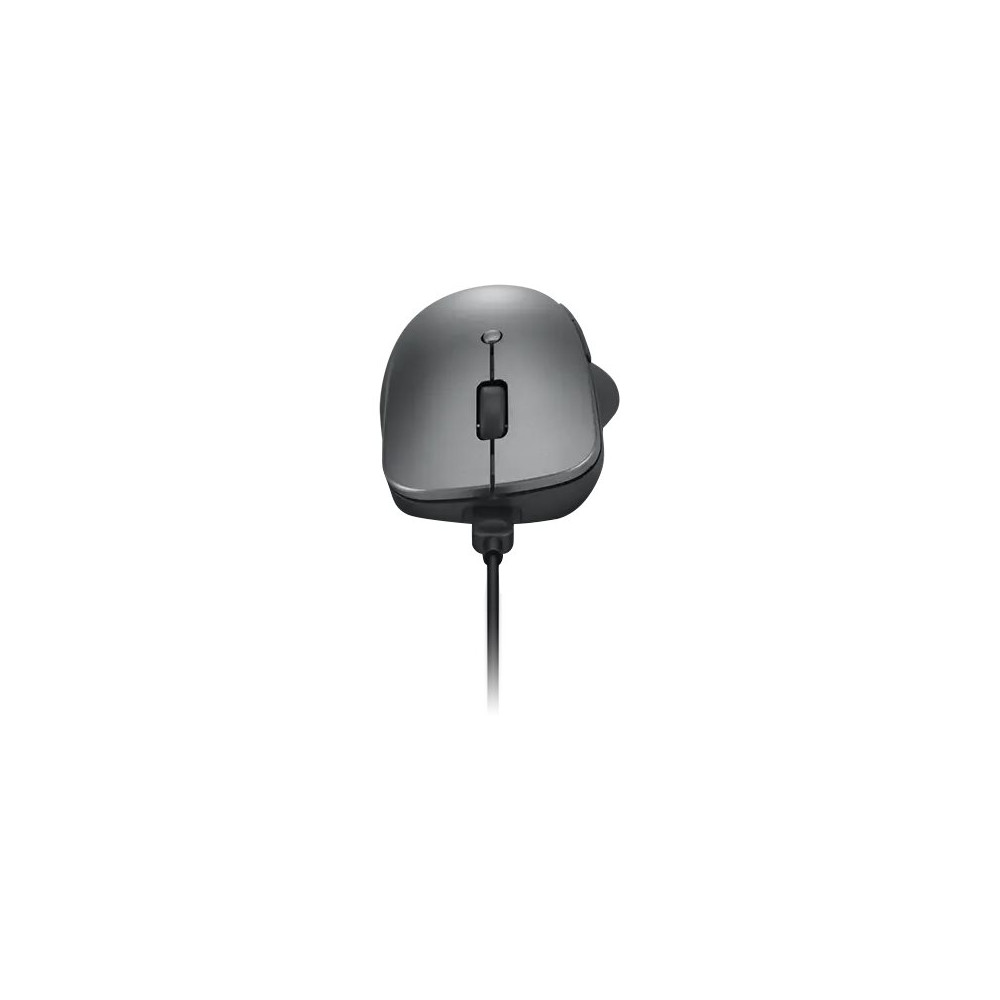 Produktbild för Lenovo Professional - mus - Bluetooth 5.1 - åskmolnsgrå