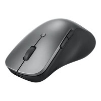 Produktbild för Lenovo Professional - mus - Bluetooth 5.1 - åskmolnsgrå