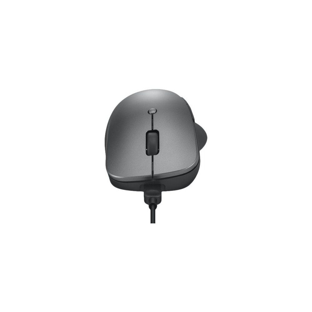 Produktbild för Lenovo Professional - mus - Bluetooth 5.1 - åskmolnsgrå