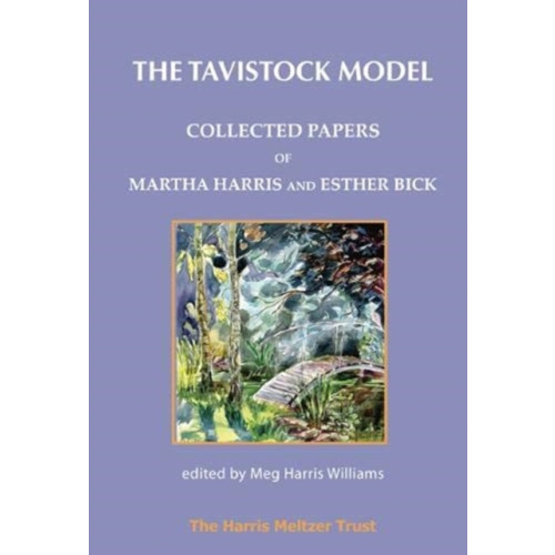 Karnac Books The Tavistock Model (häftad, eng)