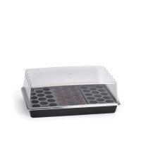 Produktbild för Minidrivhus Air brätten plugg 24 x 38 cm (Skadad)