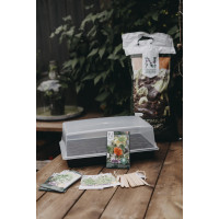 Produktbild för Minidrivhus Air brätten plugg 24 x 38 cm (Skadad)