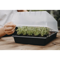 Produktbild för Minidrivhus Air brätten plugg 24 x 38 cm (Skadad)