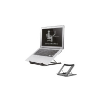 Produktbild för Neomounts NSLS075 ställ - för notebook - svart