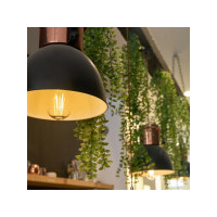 Produktbild för Shelly Vintage ST64, Smart glödlampa, Wi-Fi, Transparent, 80...