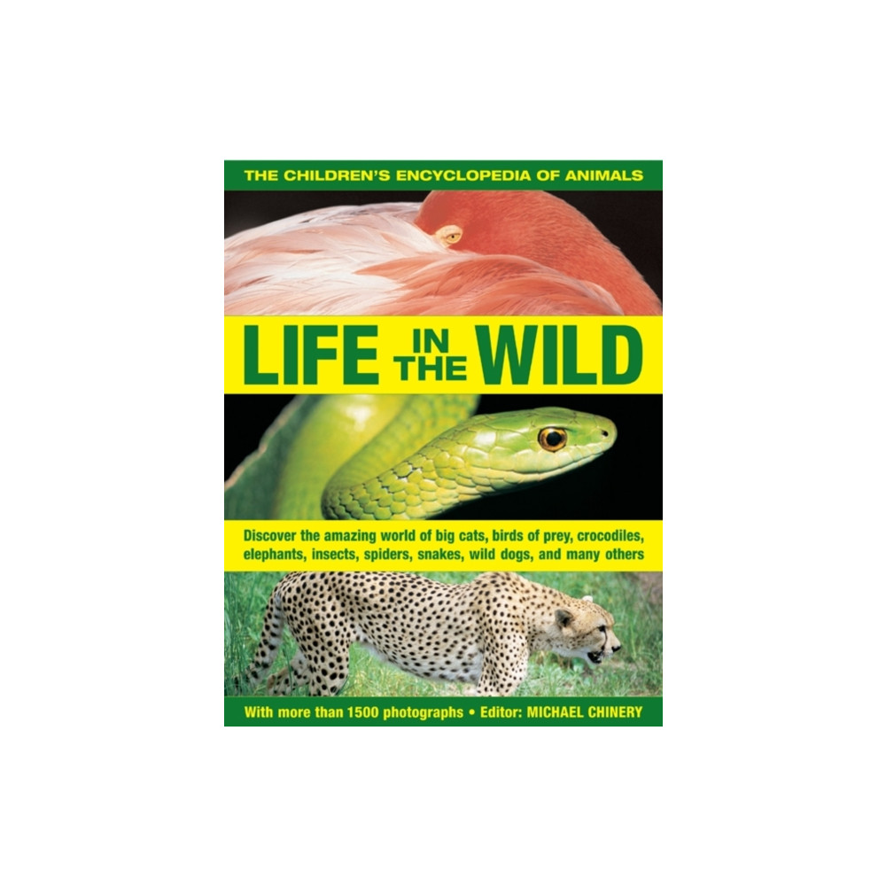 Produktbild för The Children's Encyclopedia of Animals: Life in the Wild (häftad, eng)