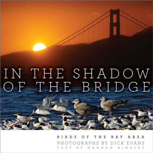 Heyday Books In the Shadow of the Bridge (inbunden, eng)