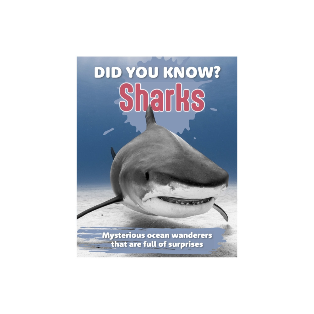 Produktbild för Did You Know? Sharks (inbunden, eng)