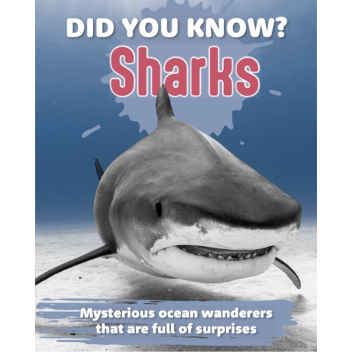 New Holland Publishers Did You Know? Sharks (inbunden, eng)