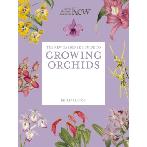 Quarto Publishing Plc The Kew Gardener's Guide to Growing Orchids (häftad, eng)