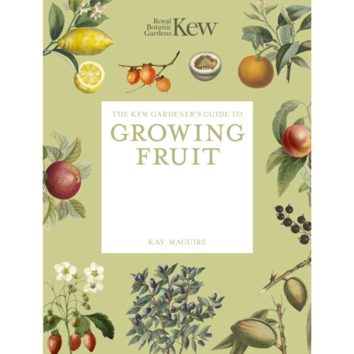 Quarto Publishing Plc The Kew Gardener's Guide to Growing Fruit (häftad, eng)