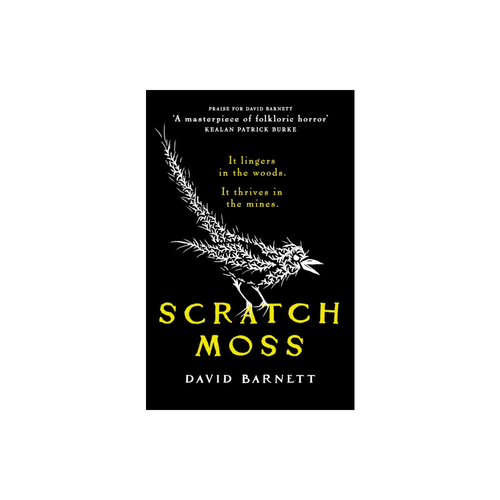 Produktbild för Scratch Moss (häftad, eng)