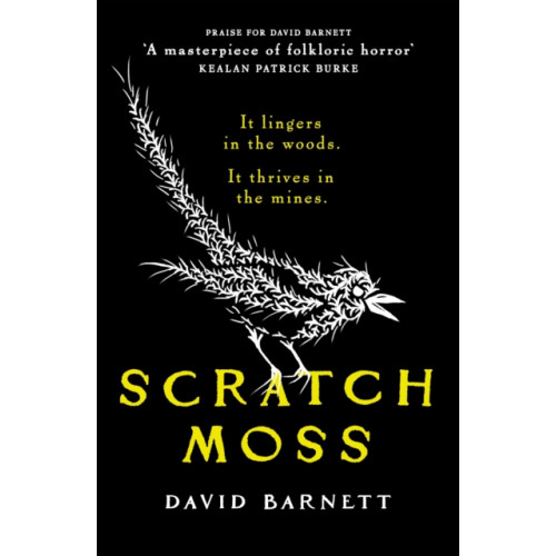 Canelo Scratch Moss (häftad, eng)