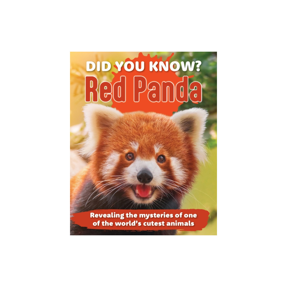 Produktbild för Did You Know? Red Panda (inbunden, eng)