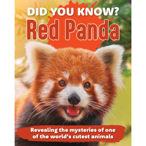 New Holland Publishers Did You Know? Red Panda (inbunden, eng)