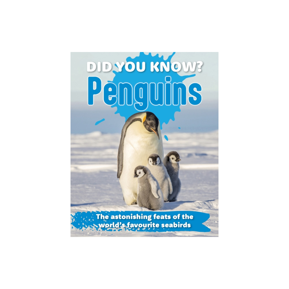 Produktbild för Did You Know? Penguins (inbunden, eng)