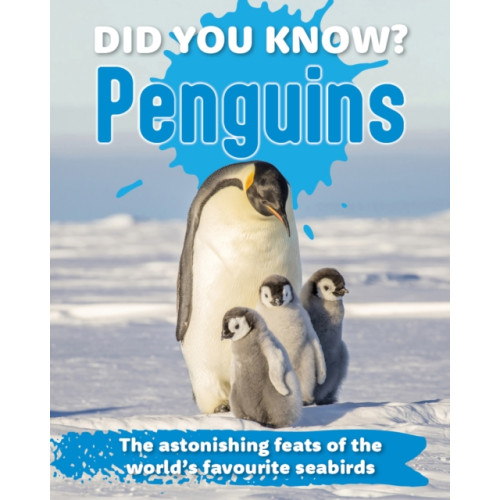 New Holland Publishers Did You Know? Penguins (inbunden, eng)