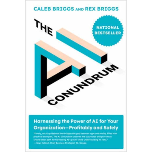 Mit press ltd The AI Conundrum (häftad, eng)