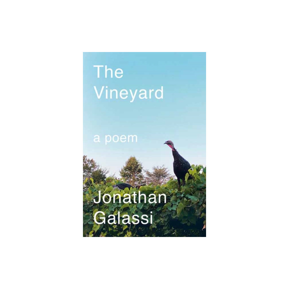 Produktbild för The Vineyard (inbunden, eng)