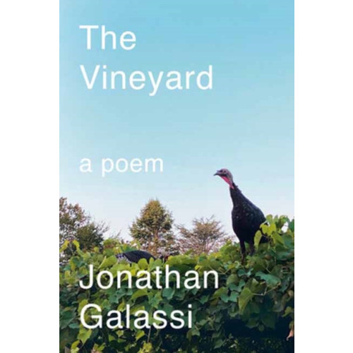 Random House USA Inc The Vineyard (inbunden, eng)