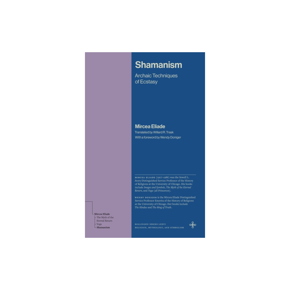 Produktbild för Shamanism (häftad, eng)