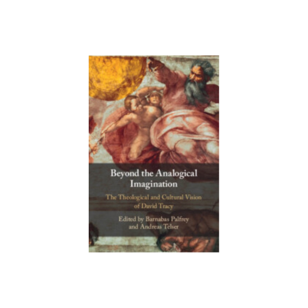 Produktbild för Beyond the Analogical Imagination (häftad, eng)