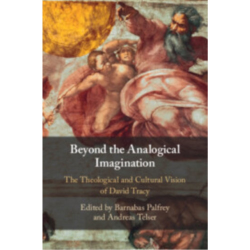 Cambridge University Press Beyond the Analogical Imagination (häftad, eng)