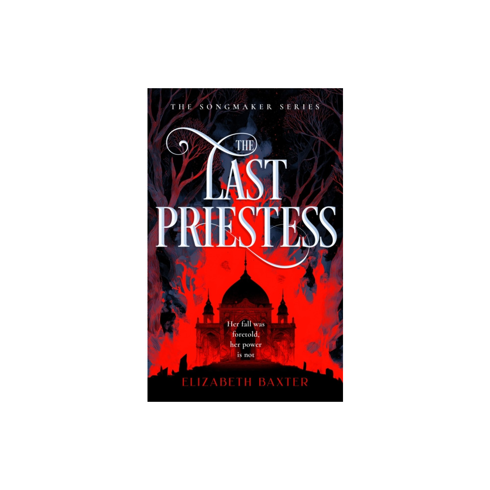 Produktbild för The Last Priestess (häftad, eng)