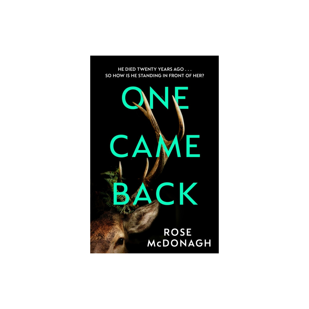 Produktbild för One Came Back (häftad, eng)