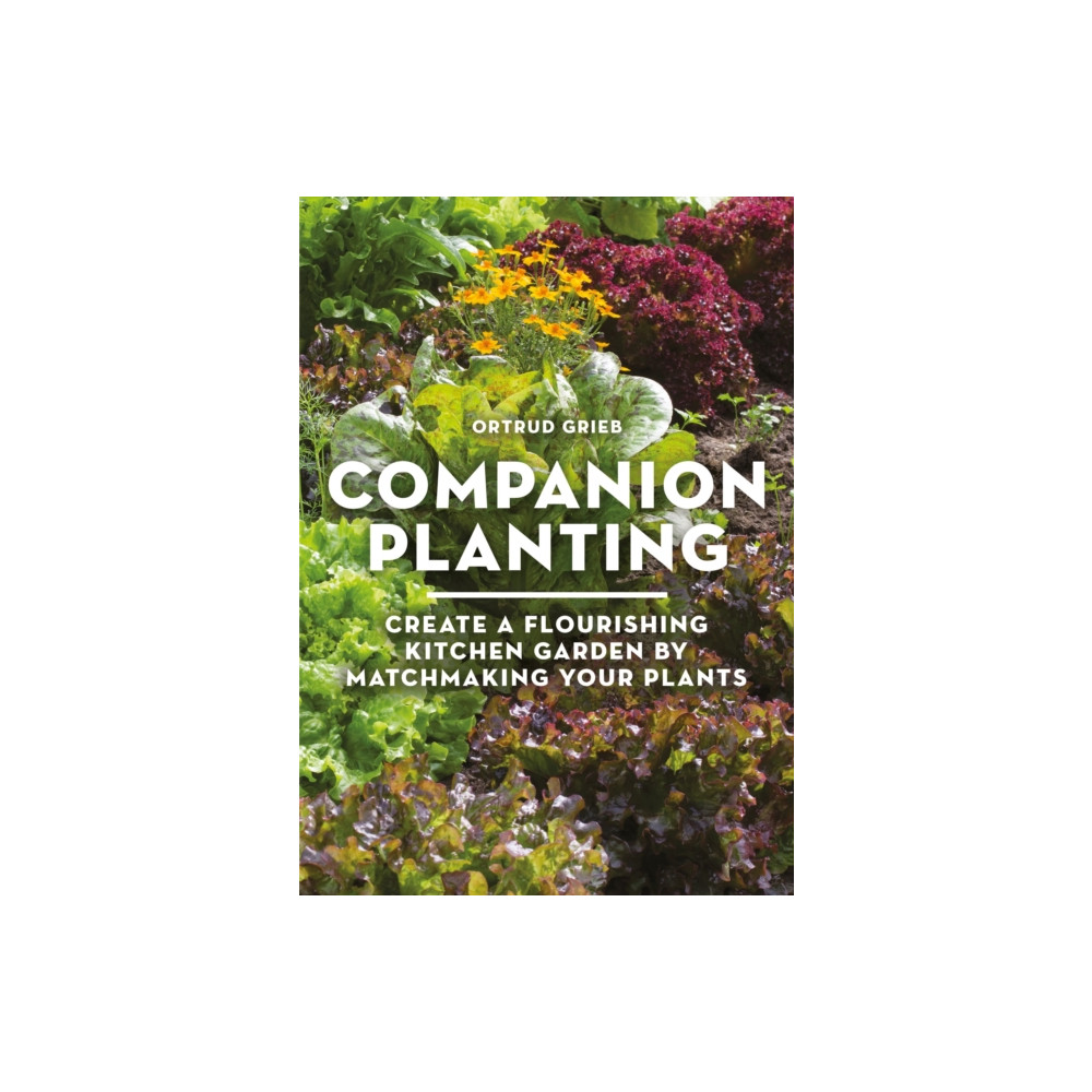 Produktbild för Companion Planting (häftad, eng)